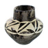 Native American Navajo Horse Hair Pottery JX130443